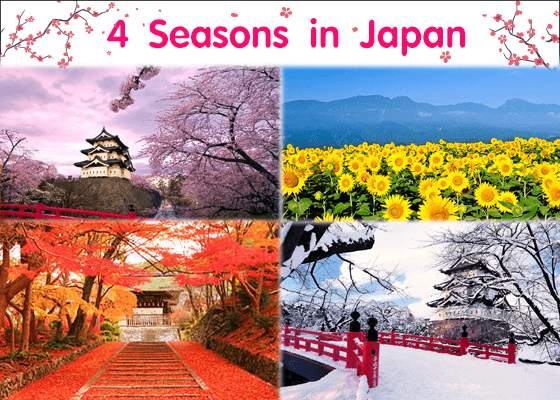 ฤดูญี่ปุ่น ภูมิอากาศ ฤดูกาลในญี่ปุ่น - Www.Educatepark.Com