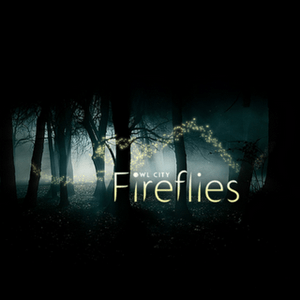 แปลเพลง Fireflies - Owl City