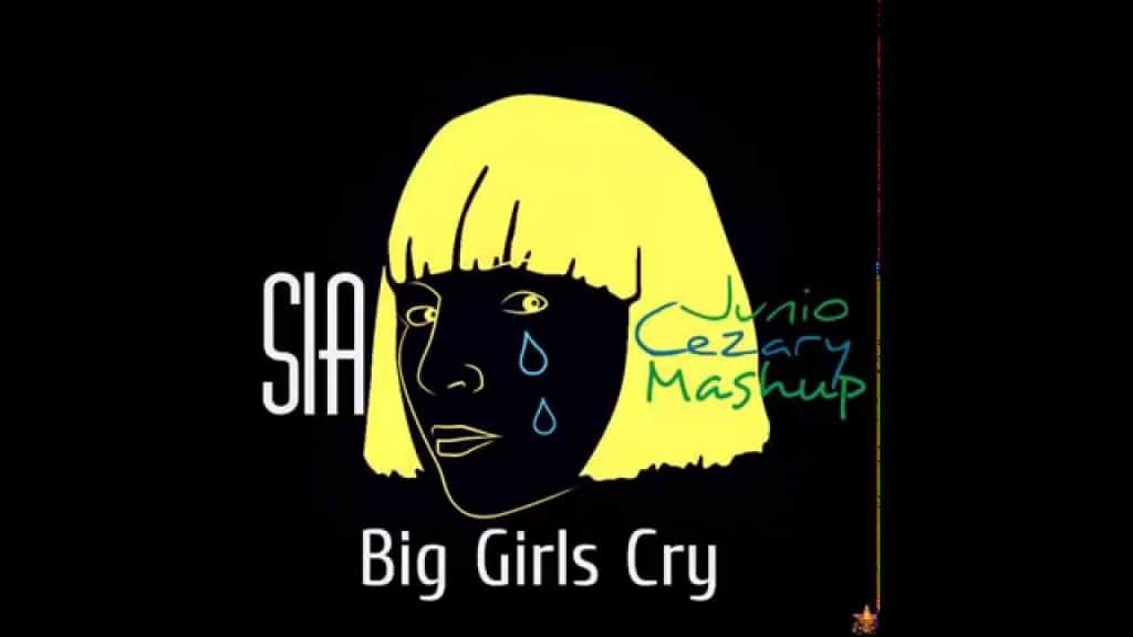แปลเพลง Big Girls Cry - Sia