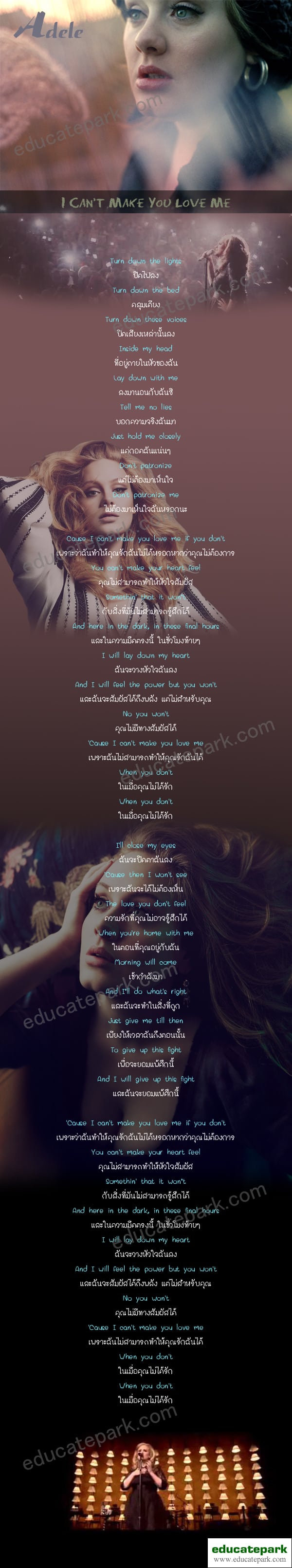 แปลเพลง I CAN'T MAKE YOU LOVE ME - Adele