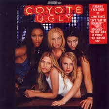 แปลเพลง Can't Fight the MoonLight - Coyote Ugly