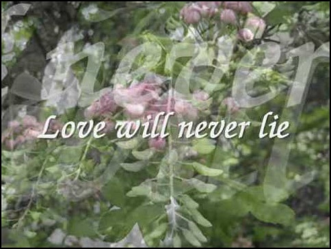 แปลเพลง Love Will Never Lie - MLTR