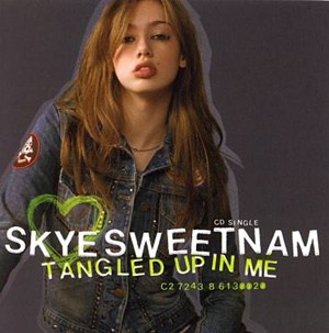 แปลเพลง Tangled Up In Me - Skye Sweetnam