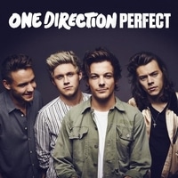 แปลเพลง Perfect - One Direction เนื้อเพลง