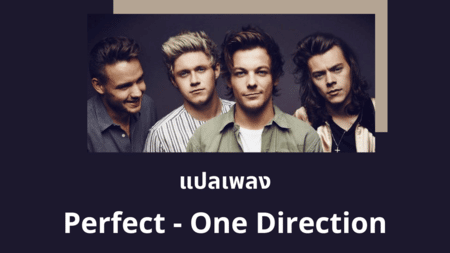 แปลเพลง Perfect - One Direction