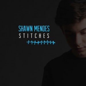แปลเพลง Stitches – Shawn Mendes