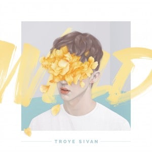 แปลเพลง Wild – Troye Sivan