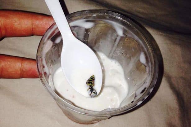 ice-cream-wasp