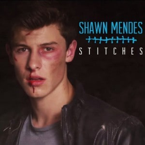 แปลเพลง Stitches – Shawn Mendes