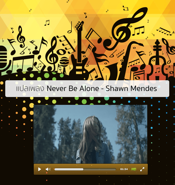 แปลเพลง Never Be Alone - Shawn Mendes