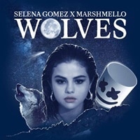 แปลเพลง Wolves - Selena Gomez & Marshmello เนื้อเพลง