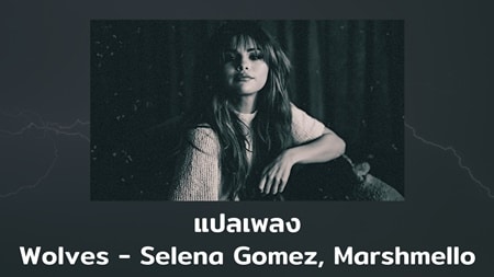 แปลเพลง Wolves - Selena Gomez & Marshmello