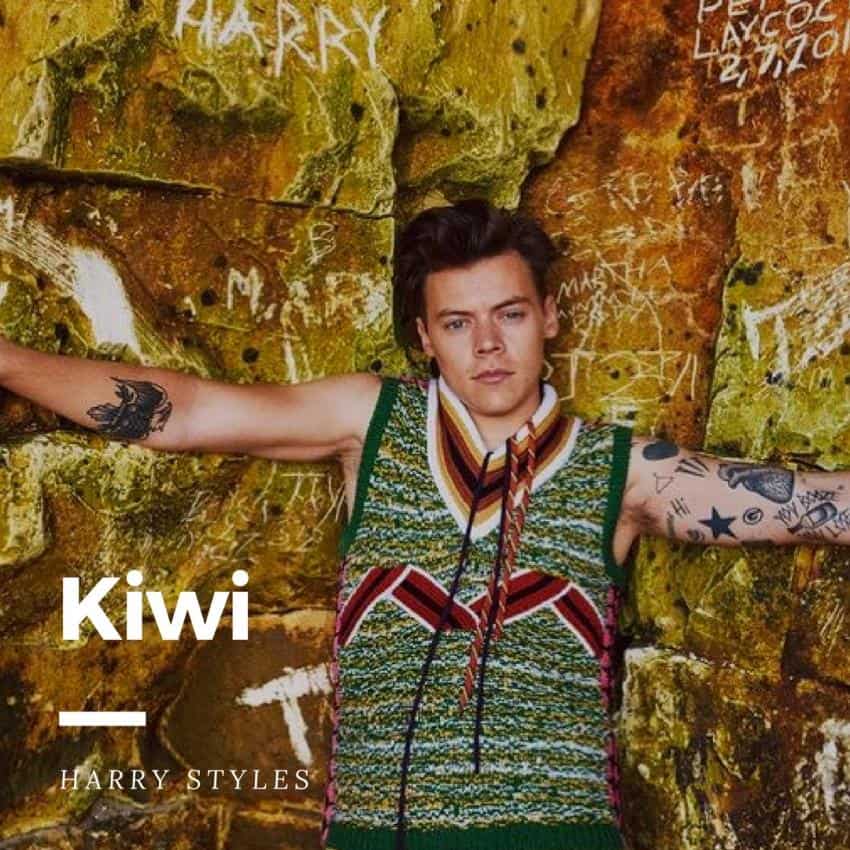 แปลเพลง Kiwi - Harry Styles