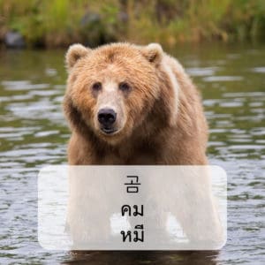 คำศัพท์สัตว์ ภาษาเกาหลี