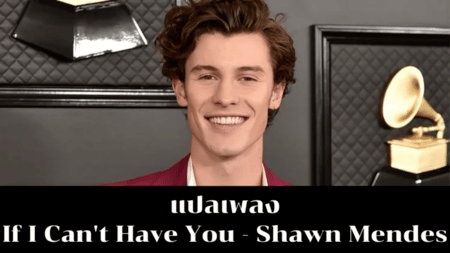 แปลเพลง If I Can't Have You - Shawn Mendes