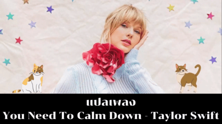 แปลเพลง You Need To Calm Down - Taylor Swift