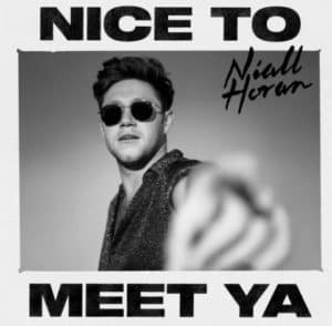 แปลเพลง Nice To Meet Ya - Niall Horan เนื้อเพลง