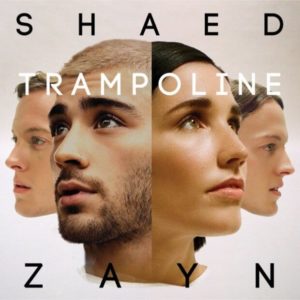 แปลเพลง Trampoline - SHAED & ZAYN เนื้อเพลง