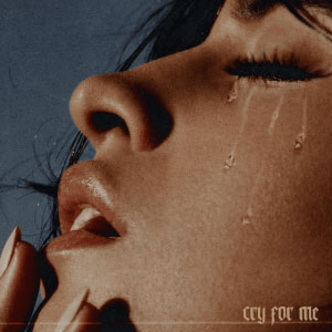 แปลเพลง Cry for Me - Camila Cabello เนื้อเพลง