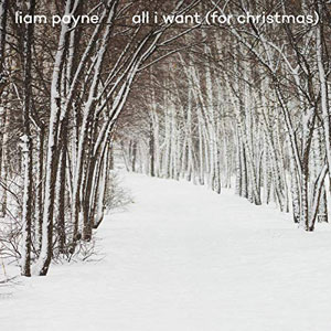 แปลเพลง All I Want (For Christmas) - Liam Payne เนื้อเพลง