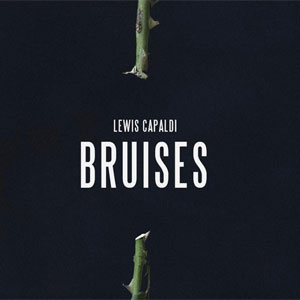 แปลเพลง Bruises - Lewis Capaldi เนื้อเพลง