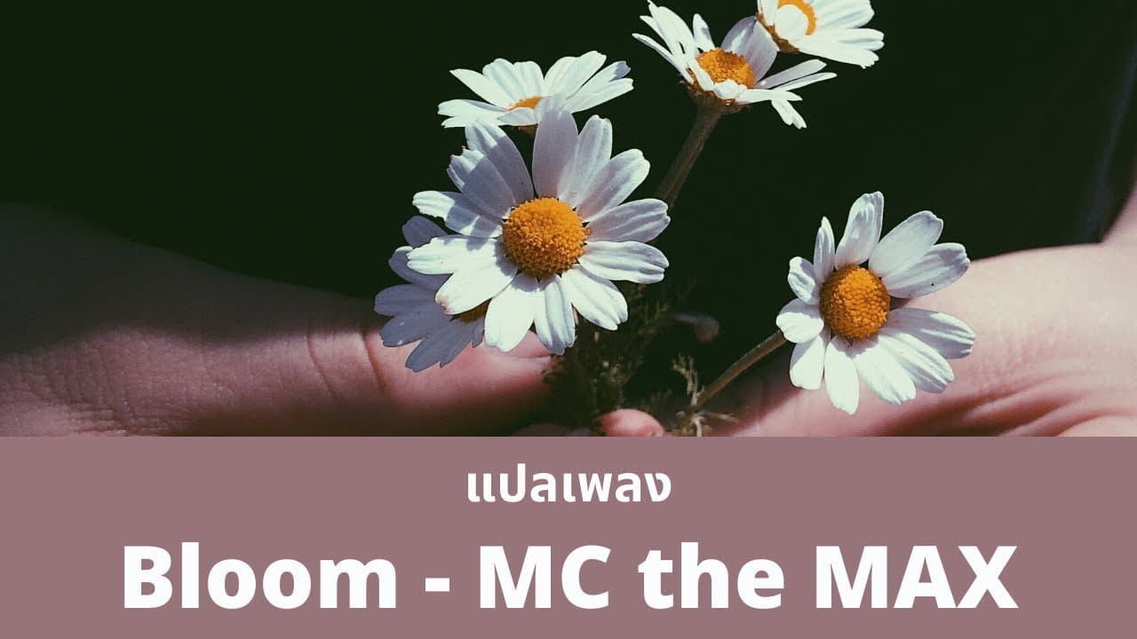 แปลเพลง Bloom - MC the MAX