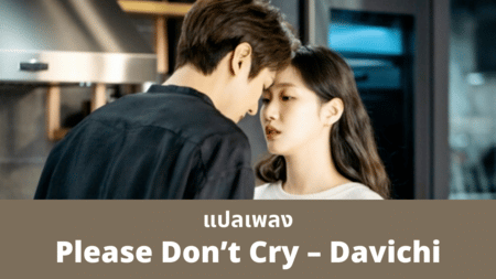 แปลเพลง Please Don't Cry - Davichi