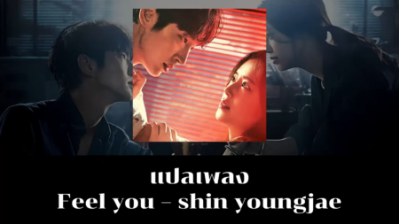 แปลเพลง Feel you - shin youngjae