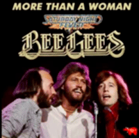 แปลเพลง More Than a Woman - Bee Gees เนื้อเพลง