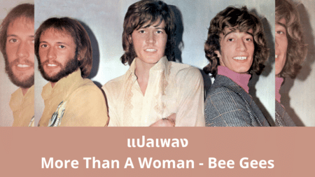 แปลเพลง More Than a Woman - Bee Gees