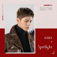 แปลเพลง Spotlight - Bobby เนื้อเพลง