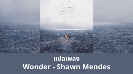 แปลเพลง Wonder - Shawn Mendes