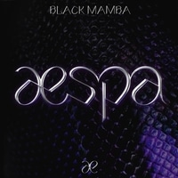 แปลเพลง Black Mamba - aespa เนื้อเพลง