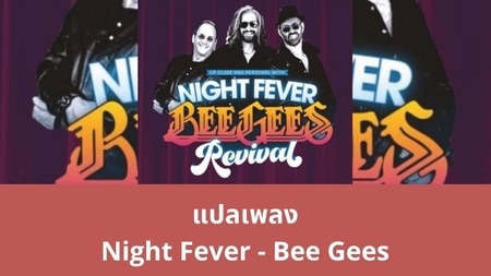 แปลเพลง Night Fever - Bee Gees
