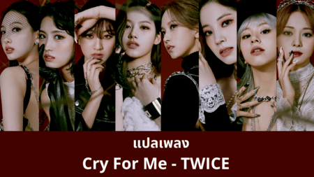 แปลเพลง Cry For Me - TWICE