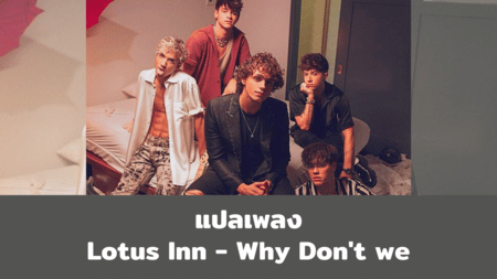แปลเพลง Lotus Inn - Why Don't We