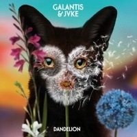 แปลเพลง Dandelion - Galantis & JVKE เนื้อเพลง