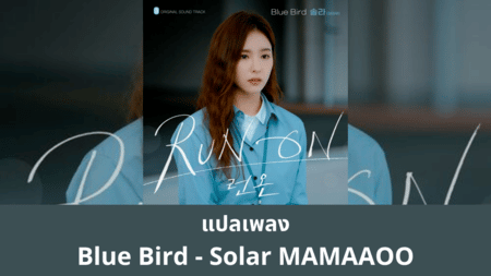 แปลเพลง Blue Bird - Solar MAMAAOO
