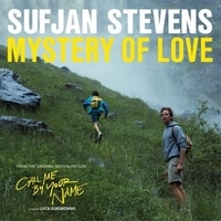 แปลเพลง Mystery of Love - Sufjan Stevens เนื้อเพลง