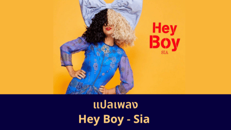 แปลเพลง Hey Boy - Sia