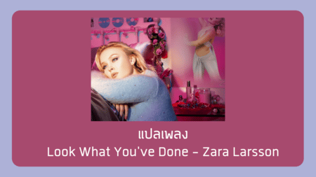 แปลเพลง Look What You've Done - Zara Larsson 