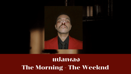 แปลเพลง The Morning - The Weeknd