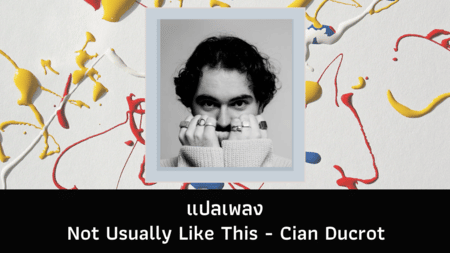 แปลเพลง Not Usually Like This - Cian Ducrot