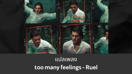 แปลเพลง  too many feelings - ​Ruel