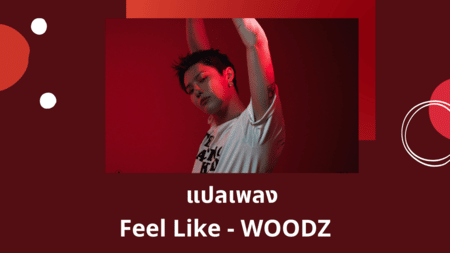 แปลเพลง Feel Like - WOODZ
