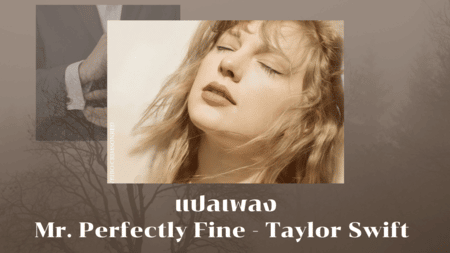 แปลเพลง Mr. Perfectly Fine - Taylor Swift