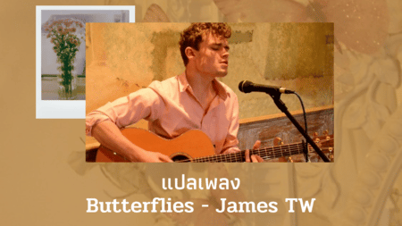 แปลเพลง Butterflies - James TW