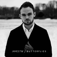 แปลเพลง Butterflies - James TW เนื้อเพลง