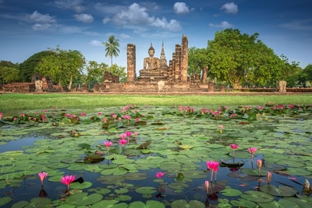 Sukhothai Historical Park - Lotus Pond in Front of Wat Mahathat 