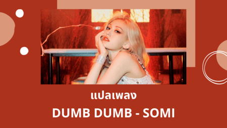แปลเพลง DUMB DUMB - SOMI